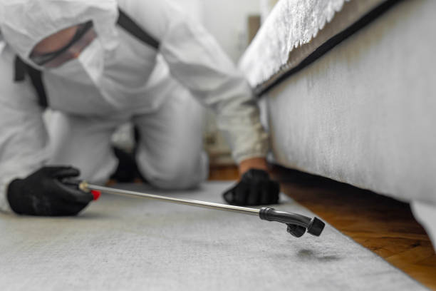 Professional Termite Control technician working in Glenpool, OK