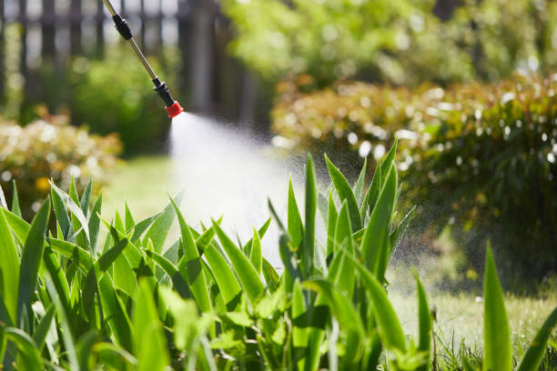 24/7 Emergency Termite Control experts in Glenpool, OK