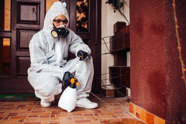 Reliable Termite Control contractor in Glenpool, OK by Nex Pest Control