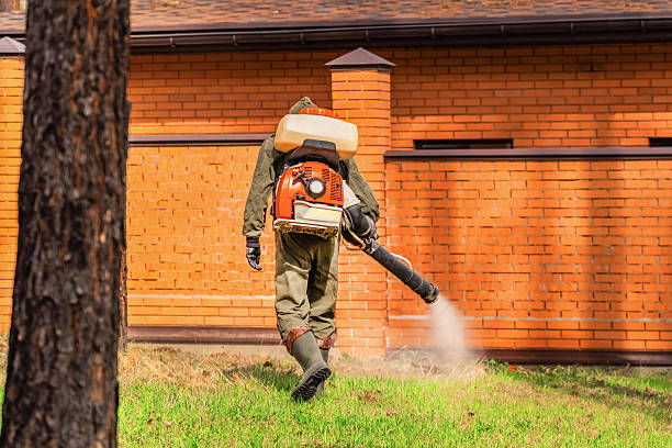 Top rated local Termite Control specialists in Glenpool, OK
